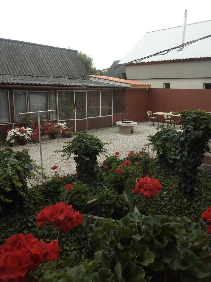 Vadkacsa Apartmanhaz Medencevel Zamárdi Exteriör bild